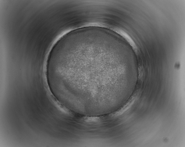 X0000102521043200808221837