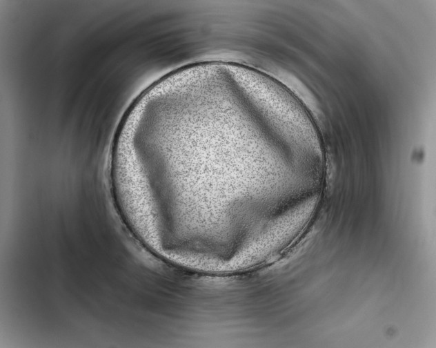 X0000102521044200808221837