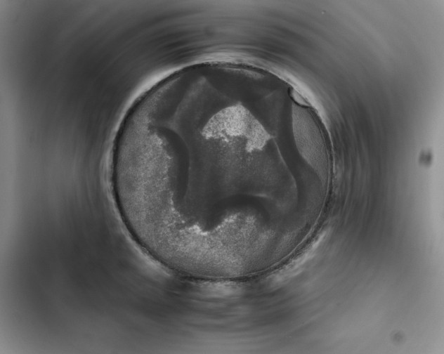 X0000102521045200808221837