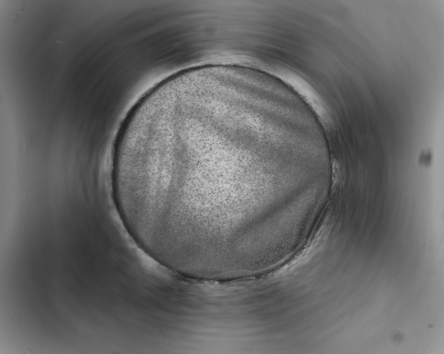 X0000102521046200808221837