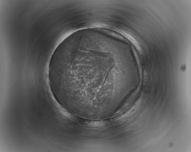 X0000102521047200808221837