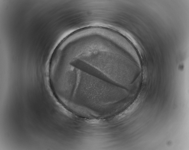 X0000102521048200808221837