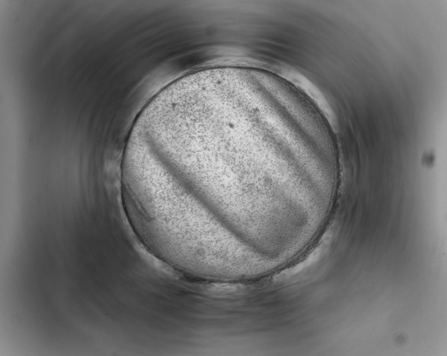 X0000102521049200808221837