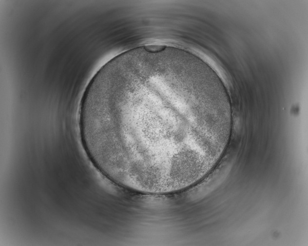 X0000102521050200808221837