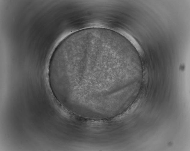 X0000102521051200808221837