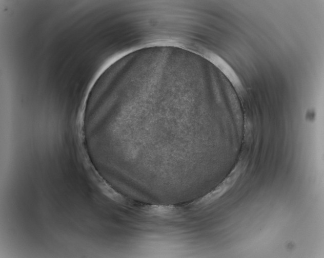 X0000102521052200808221837