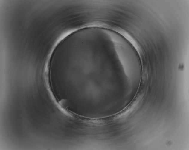 X0000102521053200808221837