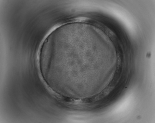 X0000102521054200808221837