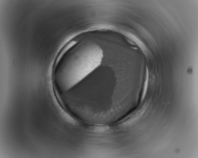 X0000102521055200808221837