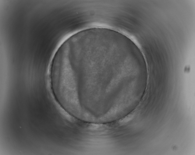 X0000102521056200808221837