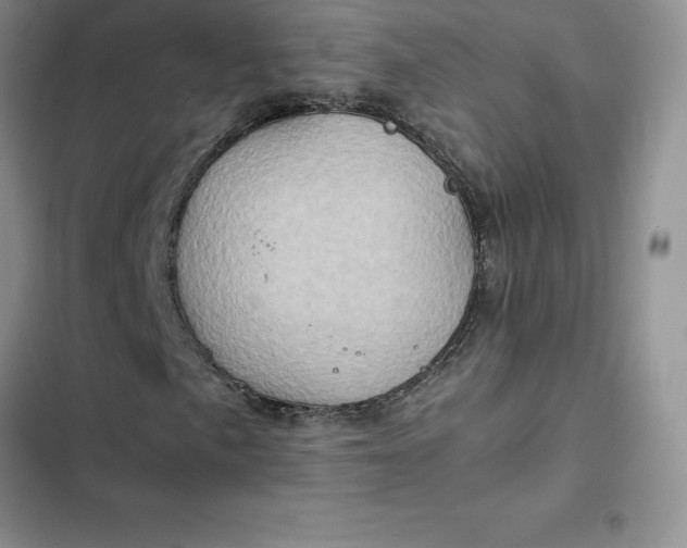 X0000102521057200808221836