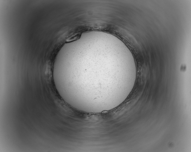 X0000102521058200808221836