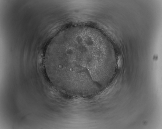 X0000102521059200808221836