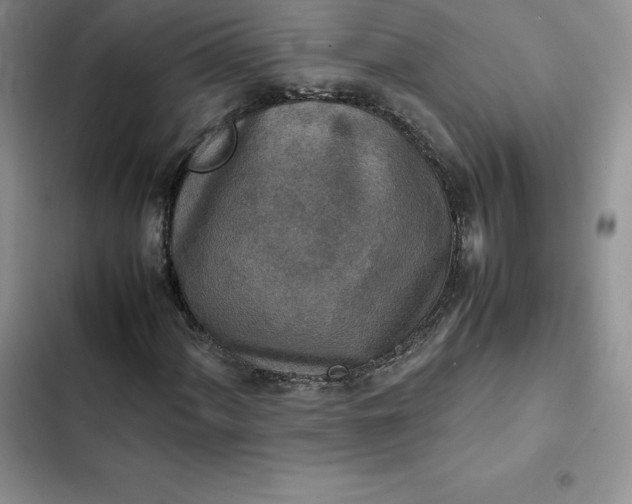 X0000102521060200808221836