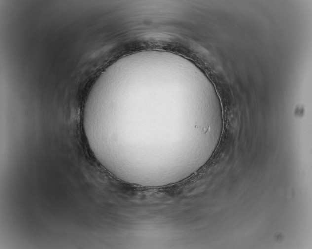 X0000102521061200808221836