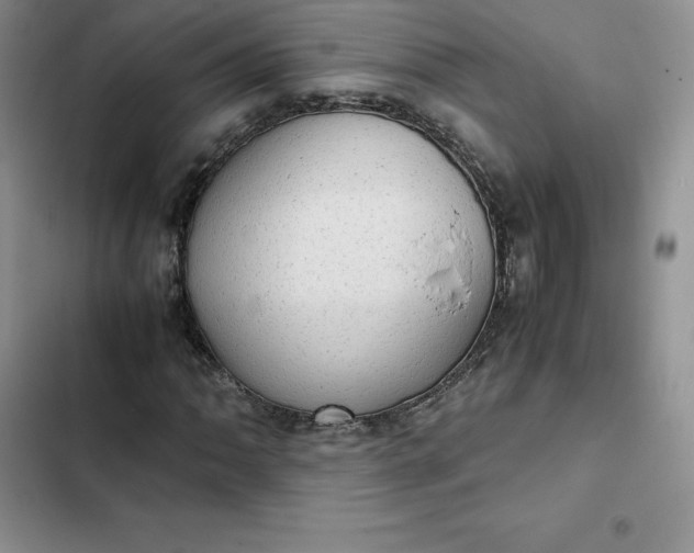 X0000102521062200808221836