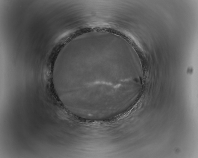 X0000102521063200808221836