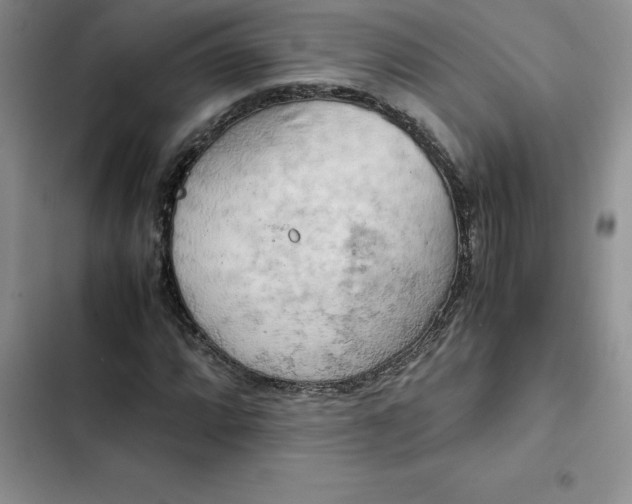 X0000102521064200808221836