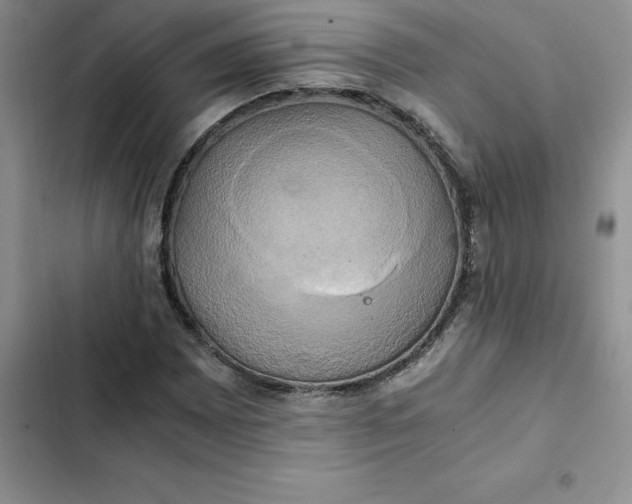 X0000102521065200808221836