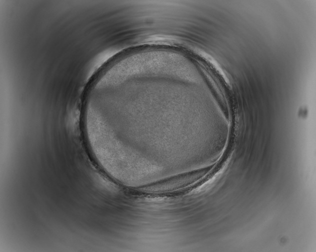 X0000102521066200808221836