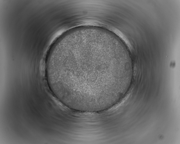 X0000102521067200808221836