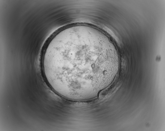 X0000102521068200808221836