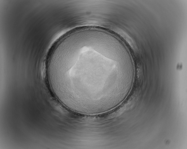 X0000102521069200808221836