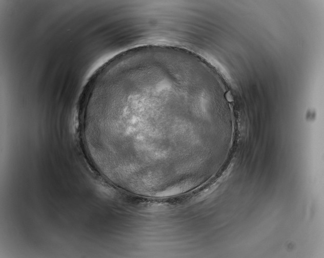 X0000102521070200808221836