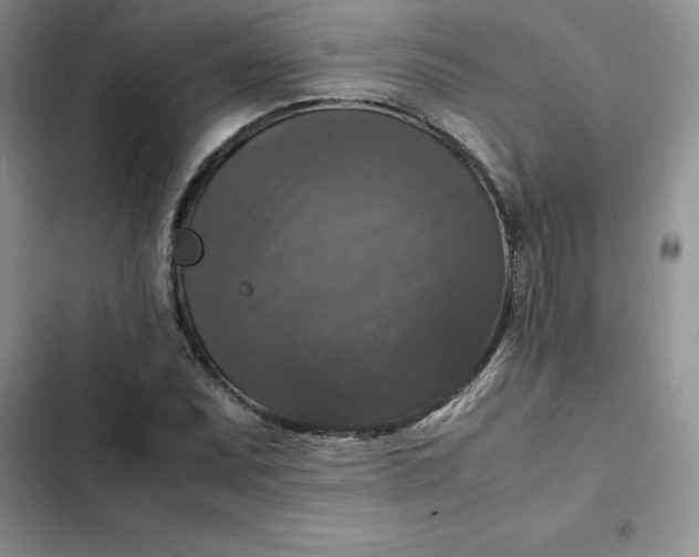 X0000102521071200808221836