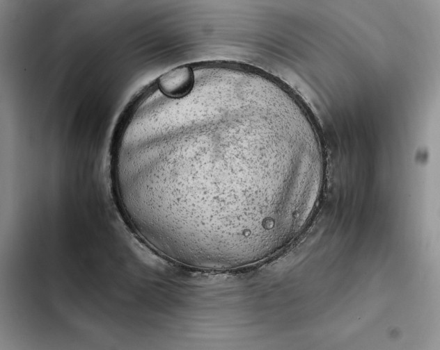 X0000102521072200808221836