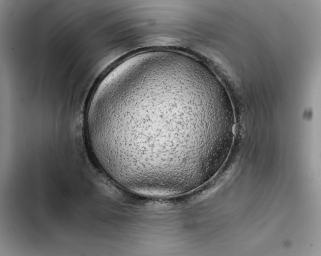 X0000102521073200808221836