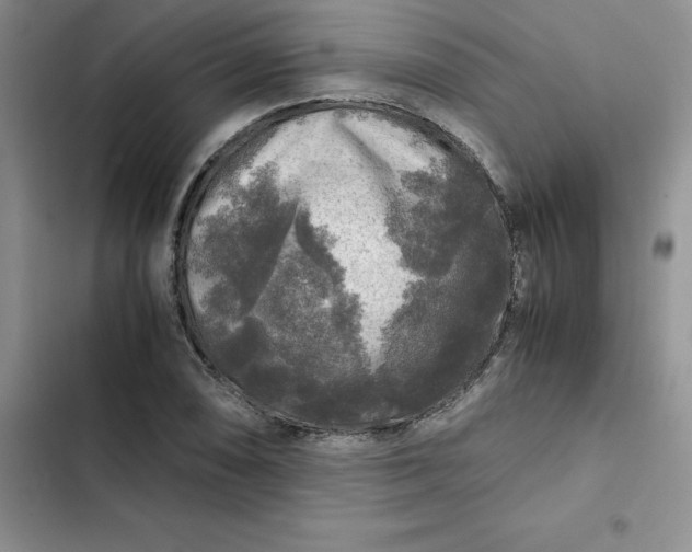 X0000102521074200808221836