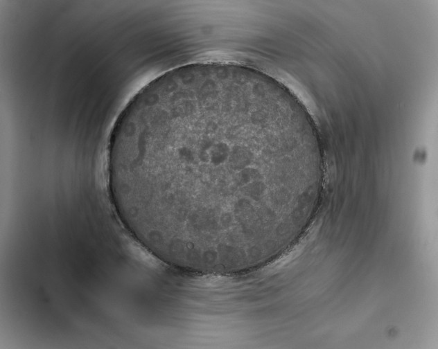 X0000102521075200808221836