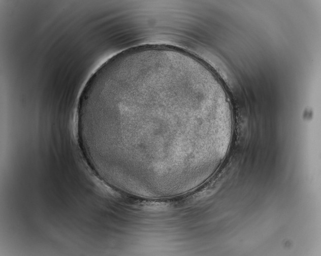 X0000102521076200808221836