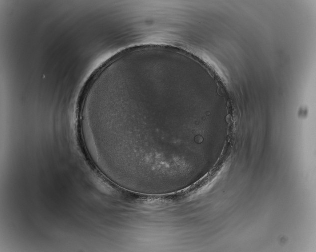 X0000102521077200808221836