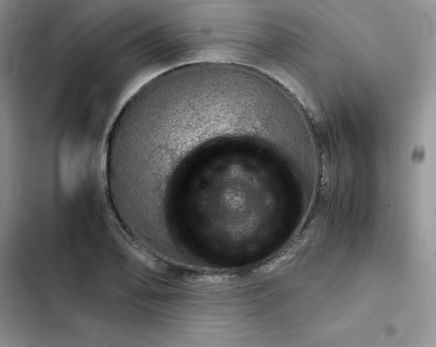 X0000102521078200808221836