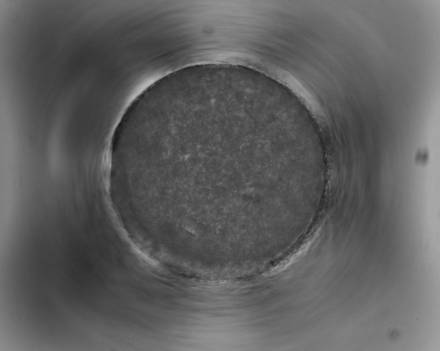 X0000102521079200808221836