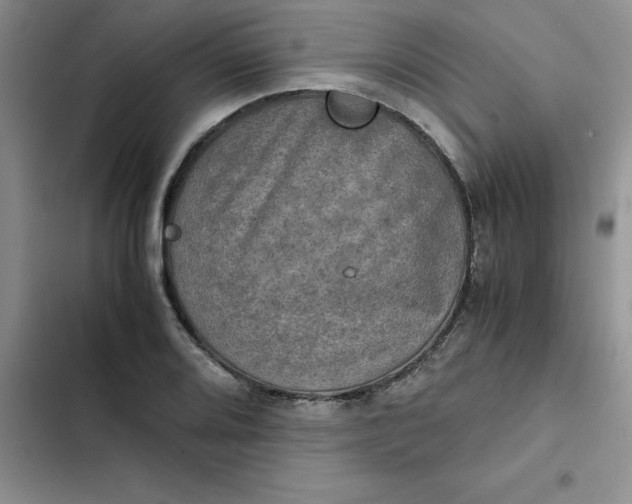 X0000102521080200808221836