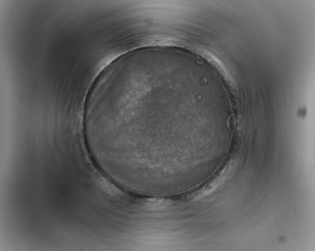 X0000102521081200808221836