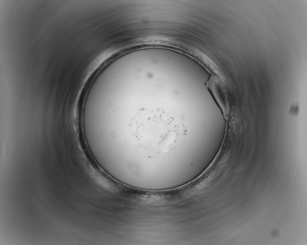 X0000102521082200808221836