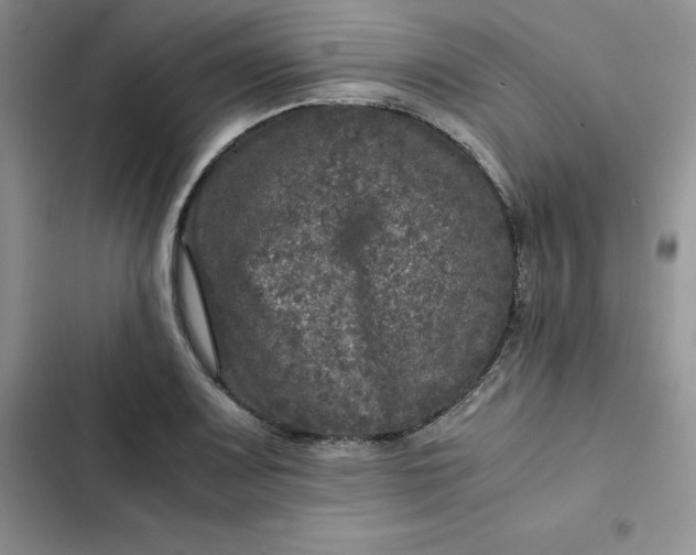 X0000102521083200808221836