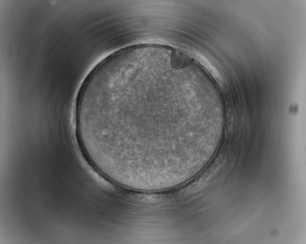 X0000102521084200808221836