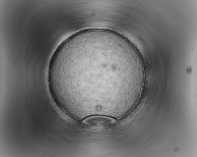 X0000102521085200808221836