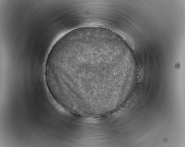 X0000102521086200808221836