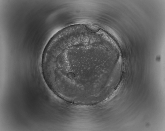 X0000102521087200808221836