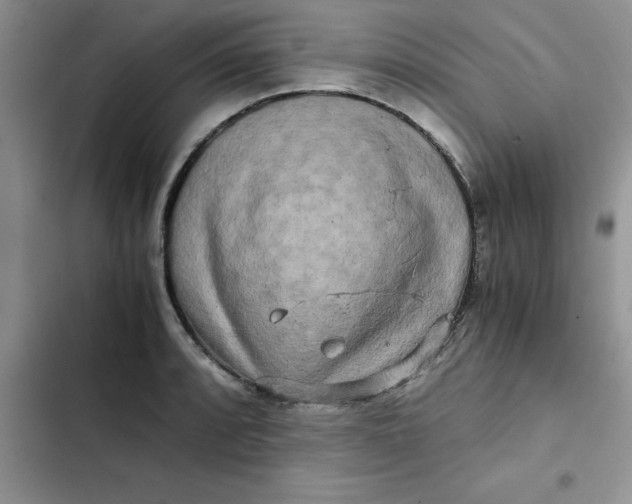 X0000102521088200808221836