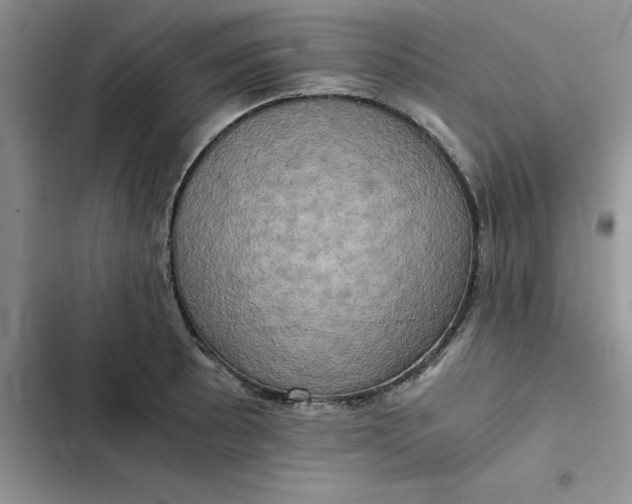 X0000102521089200808221836