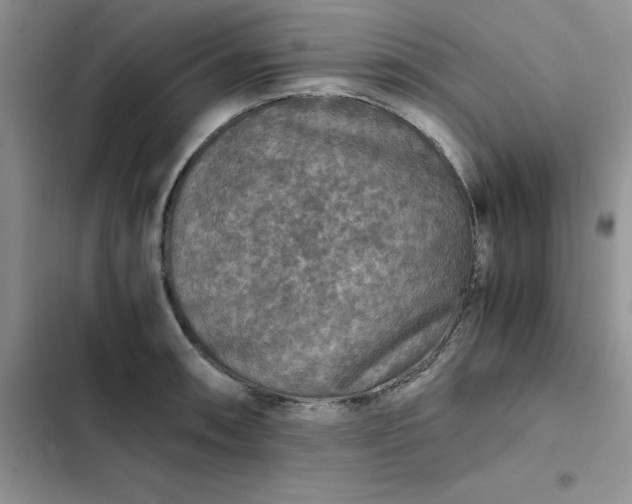 X0000102521090200808221836