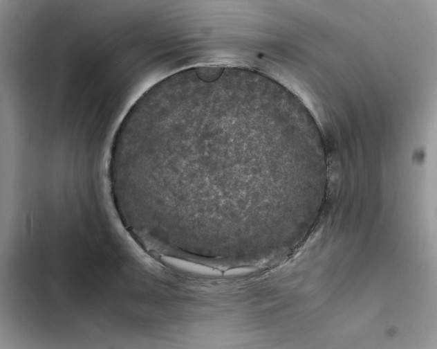 X0000102521091200808221836