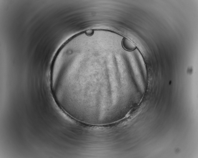 X0000102521092200808221836